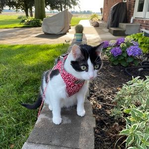 Meet your Posher, Connie